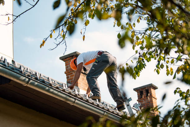 Best Storm Damage Roof Repair  in Old Jamestown, MO