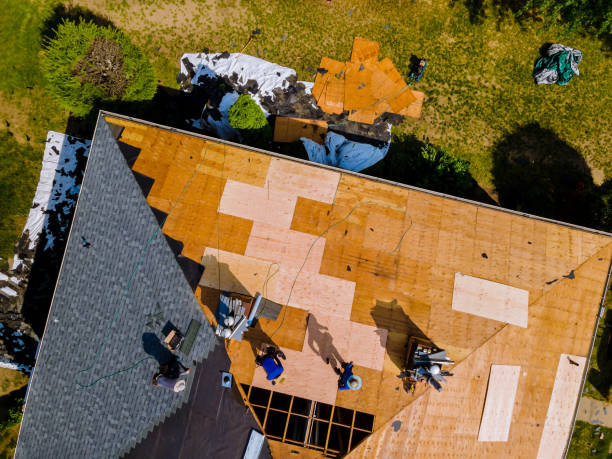 Best Roof Maintenance Services  in Old Jamestown, MO